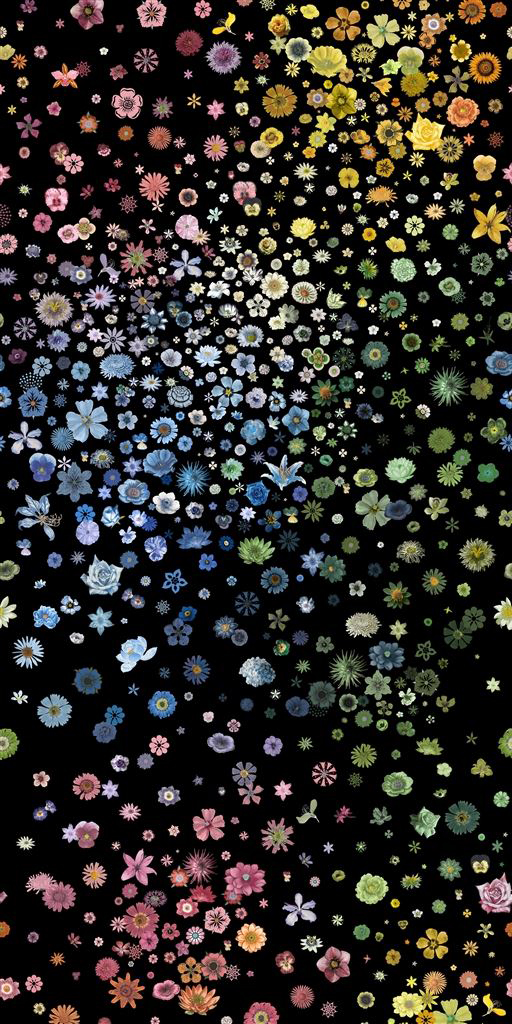 Tapete Jardin des Hesperides - Multicolore