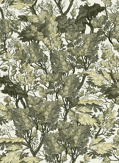 Wallpaper Tree Foliage - WP20481