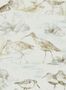 3675_1_sanderson_estuary-birds_216494-30321