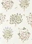 16416_02_Sanderson_Thyme_Walk_217509-159642