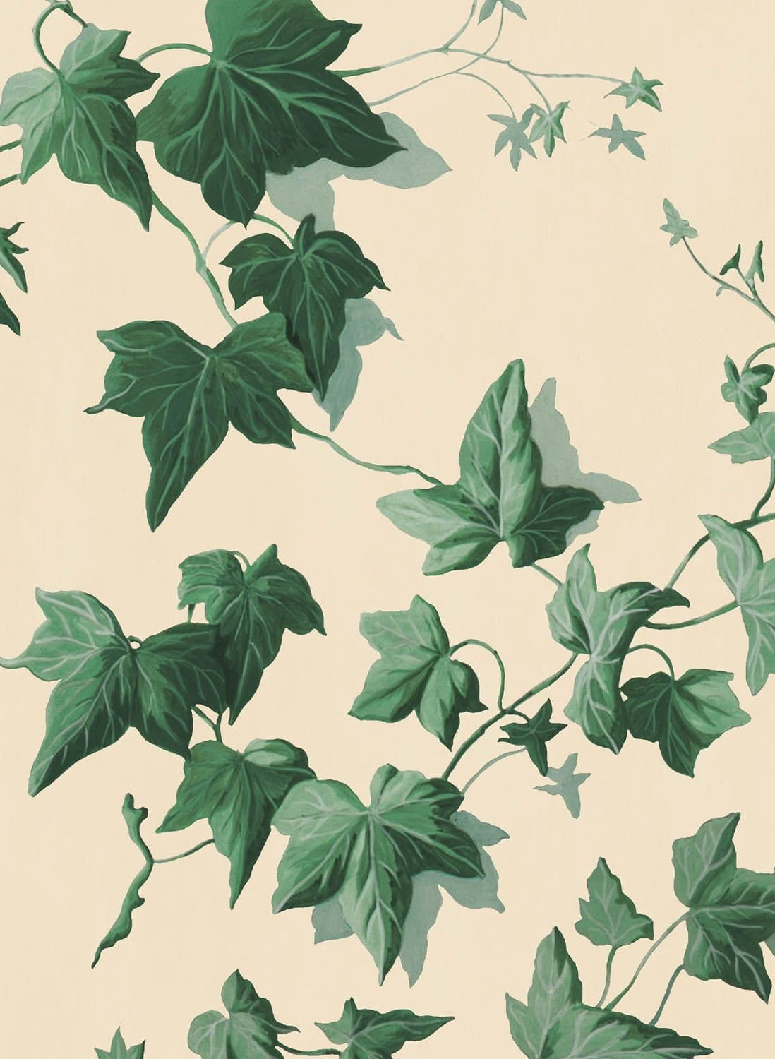 Wallpaper Hedera - Viridian