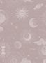 6693_3_Rebel-Walls_Planetarium_R18024-81258