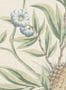 17992_03_Manuel_Canovas_Opoa_03124-03-177779