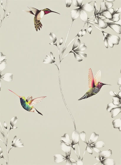 Tapete Amazilia - Silver