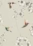1994_5_harlequin_amazilia_111062-23758
