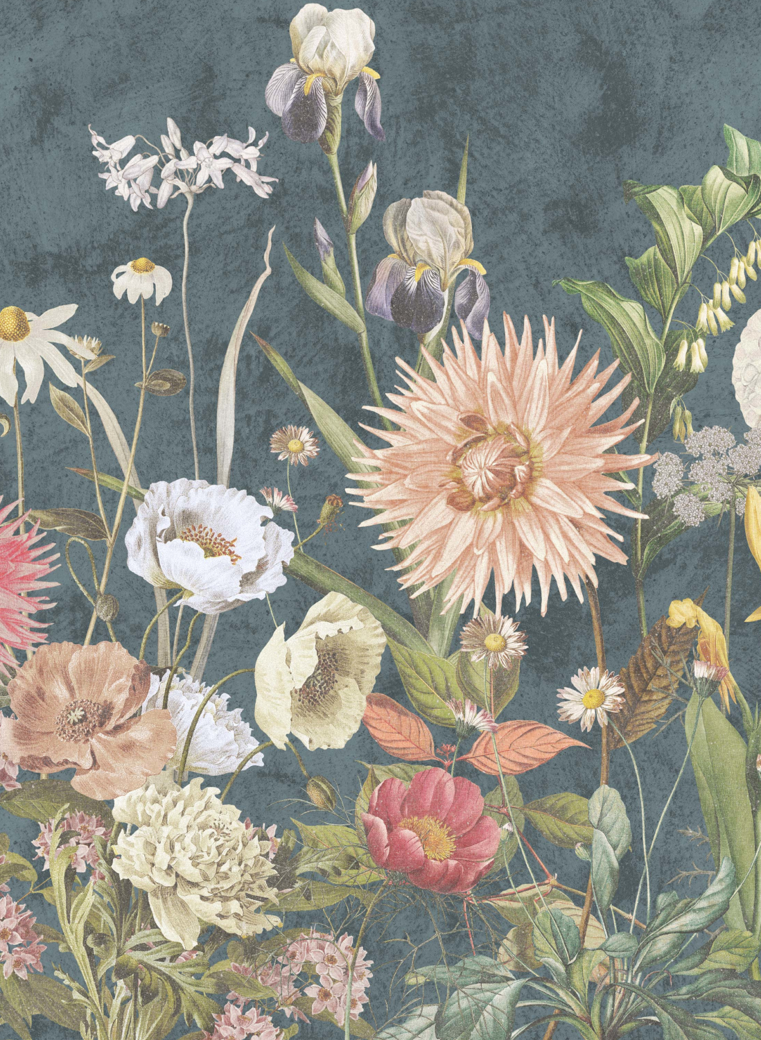 Wandbild Dahlia