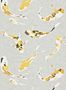 7716_2_Harlequin_Koi_110901-101273