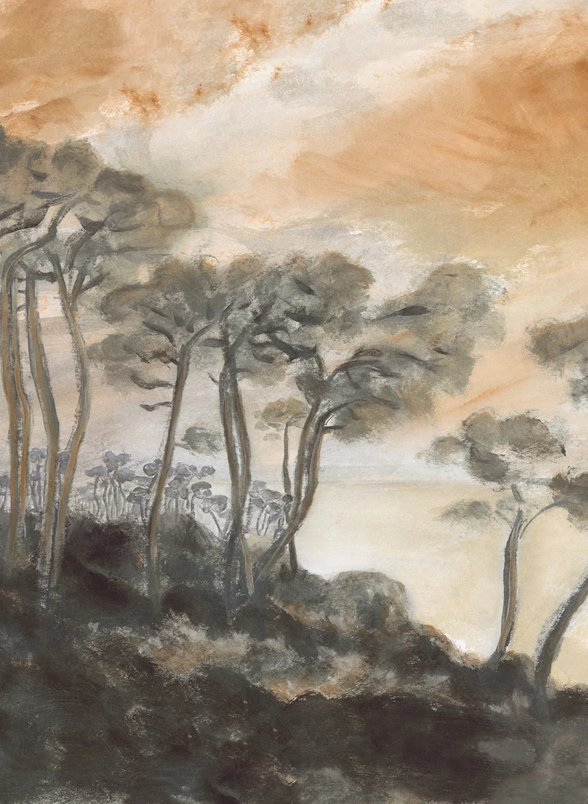 Wandbild Les Landes - Coucher De Soleil