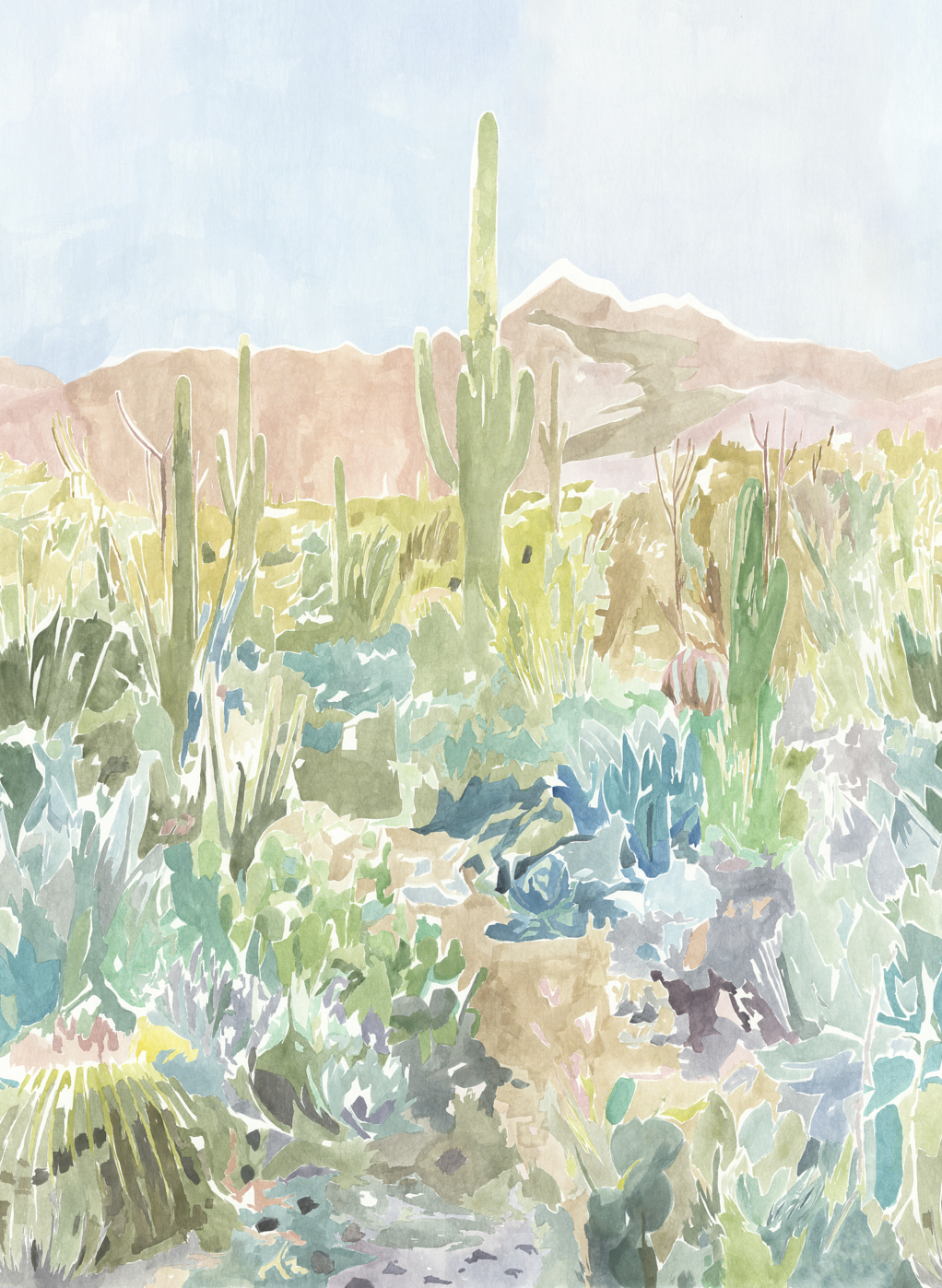 Wandbild Saltillo - Grounded/ Succulent/ Haze