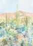 15414_01_Harlequin_Saltillo_113369-195811