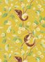 9395_2_Harlequin_Nellie_112905-90443