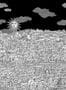 3950_1_Cole_and_Son_Vista_Mediterranea_123_3012-109513