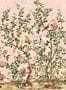 19515_02_Thibaut_Jardin_Bloom_T13667-191456