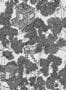6687_1_Rebel-Walls_Treehouse_R18011-81321