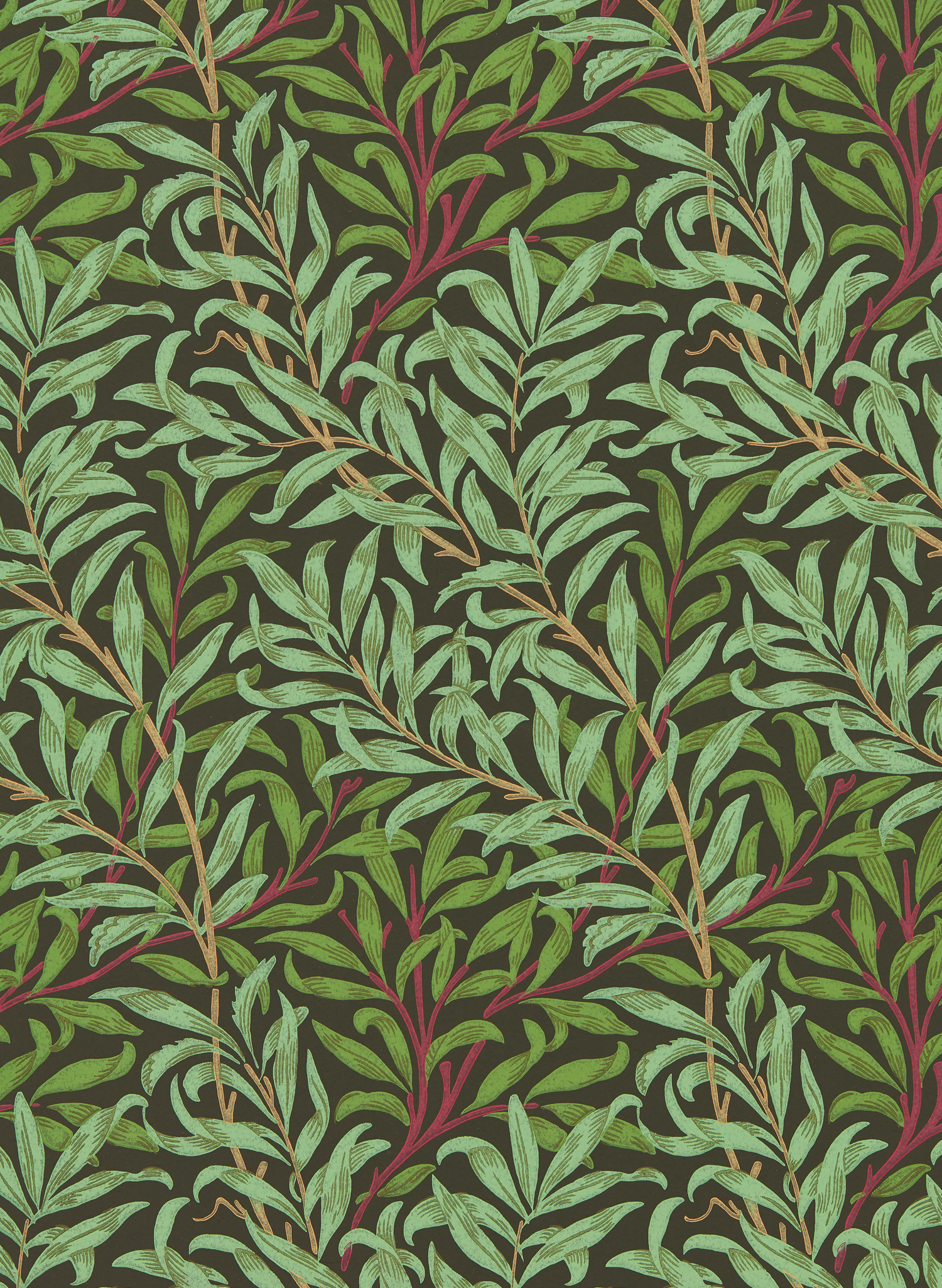 Tapete Willow Bough - Bitter Chocolate