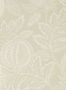 5484_5_Tapete_Cantaloupe_Sanderson_Caspian_216760-62313