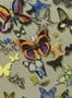 2177_5_christian_lacroix_butterfly_garden_pcl008-05-24371