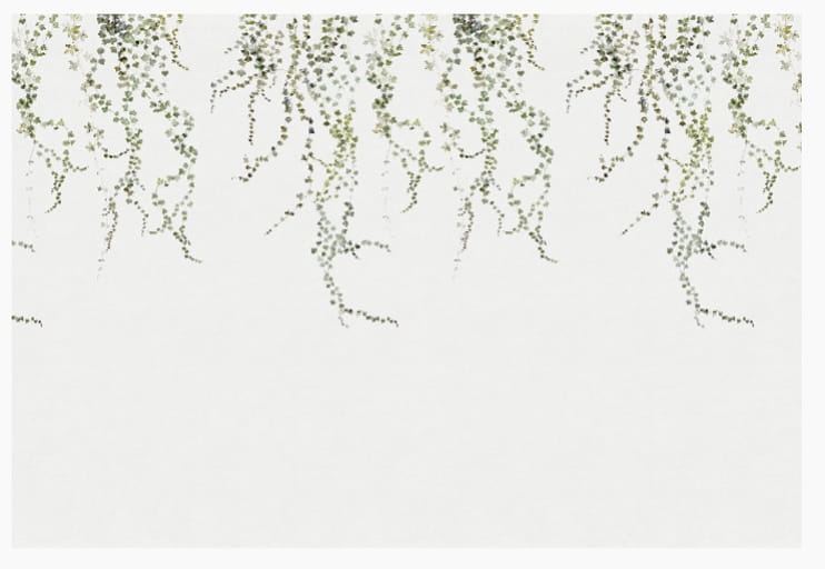 Wandbild Aralia - Moss-Green