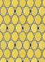 3270_4_nobilis_l_illusion_sln40-28958