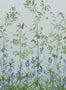 7701_3_Little-Greene_Bird-and-Bluebell_0263BICELES-100065