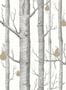 1422_1_Cole_and_Son_Woods_and_Pears_95-5027-80329