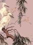 3591_4_House_of_Hackney_Zeus_1-WA-ZEU-DI-BLS-XXX-92736