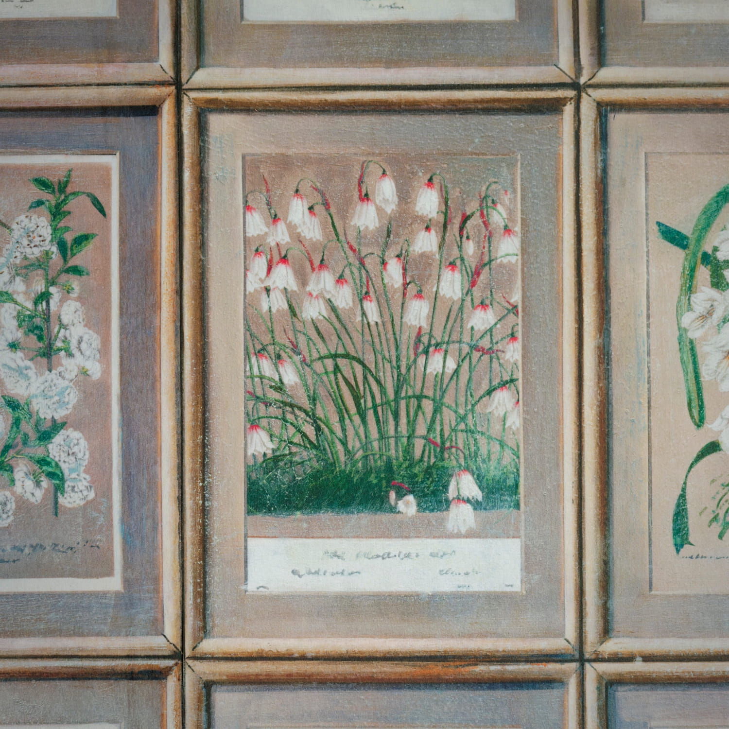 Tapete Floral - Curafl