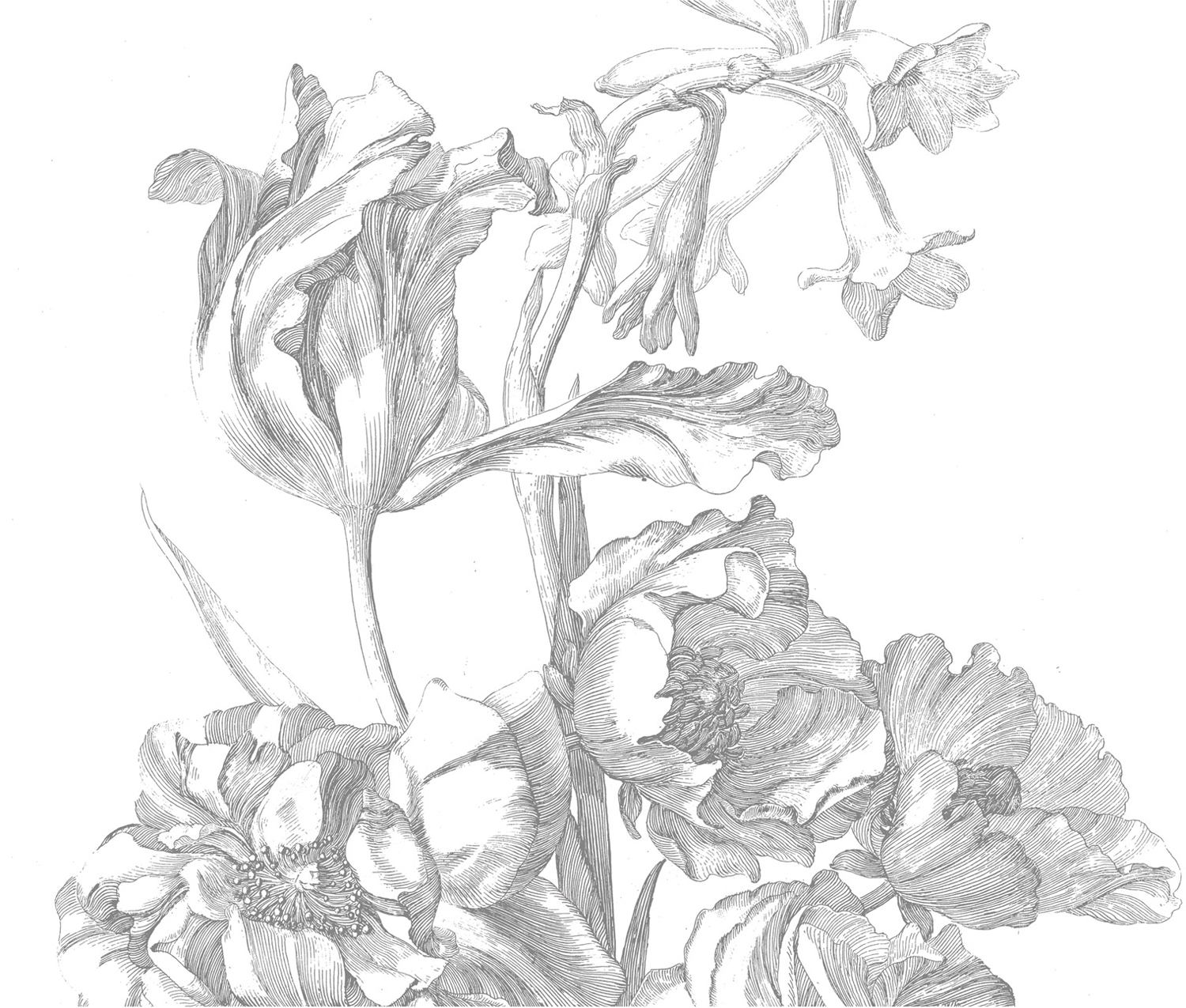 Mural Engraved Flowers 1 - Multicolor - 3.896m