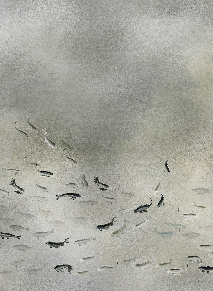 Wandbild Koi Metallics - Silver