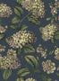 3943_5_Cole_and_Son_Ramo_di_Ortensia_123_8042-109529