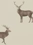 4086_2_sanderson_evesham-deer_216618-31806