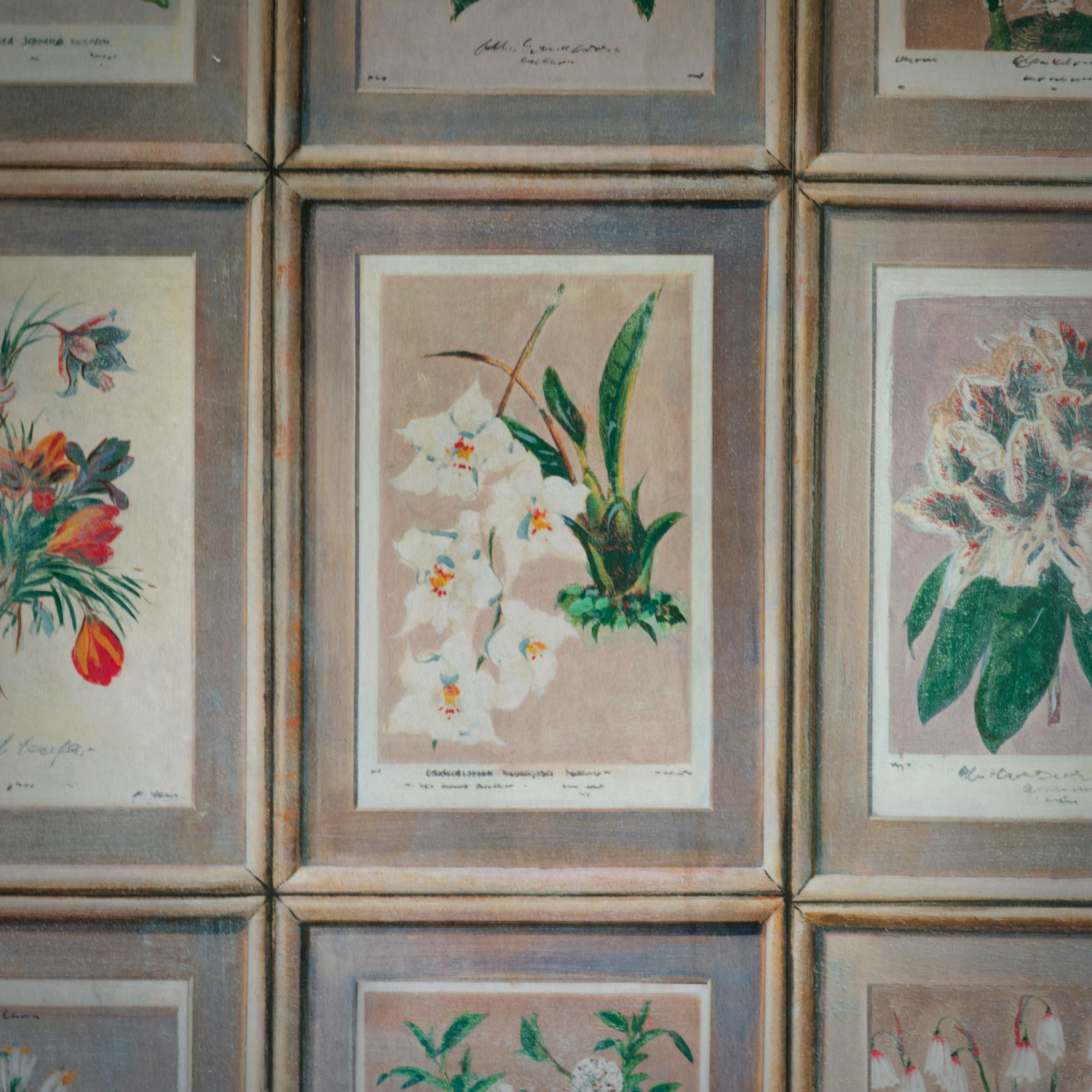 Tapete Floral - Curafl