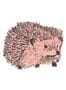 2639_1_sian_zeng_hedgehog_pink-26255