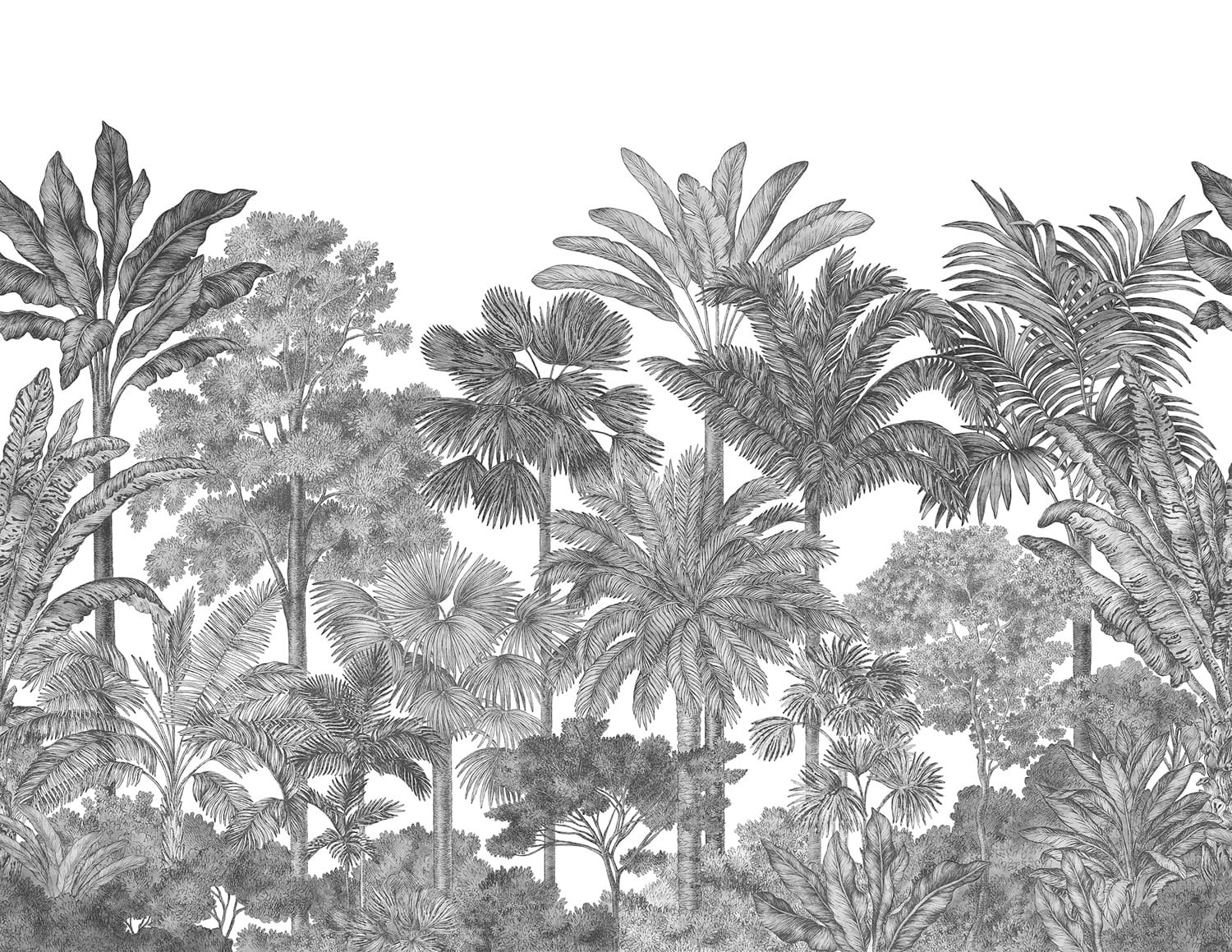 Wandbild Tropical Bellewood - Graphite
