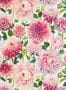 6803_1_Harlequin_Dahlia_112843-87890