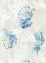 5936_1_Harlequin_Halfmoon_112766-77077