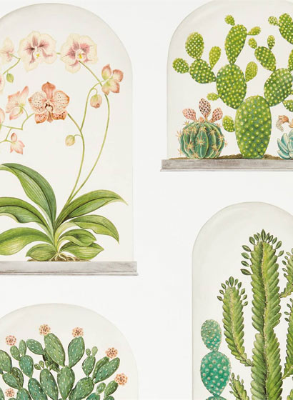 Tapete Terrariums - Chalk/ Green