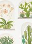 5178_1_sanderson_terrariums_216655-54578