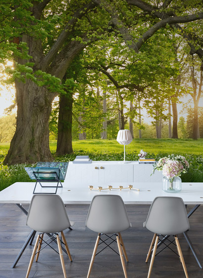 Wandbild Verdant
