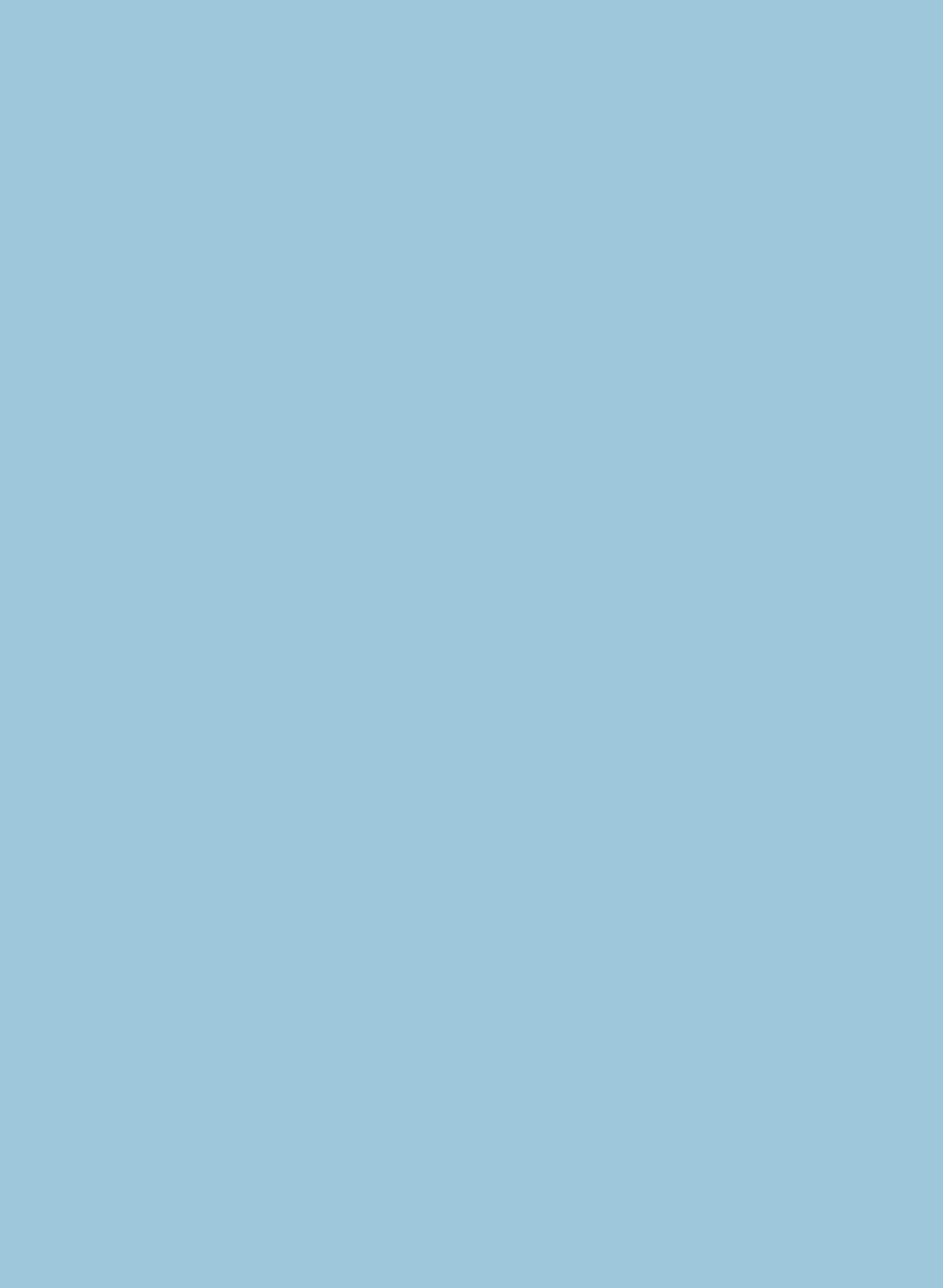 Intelligent All Surface Primer - Regency Blue 253