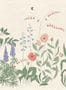 16259_2_Sandberg_Aino_S10482-141524