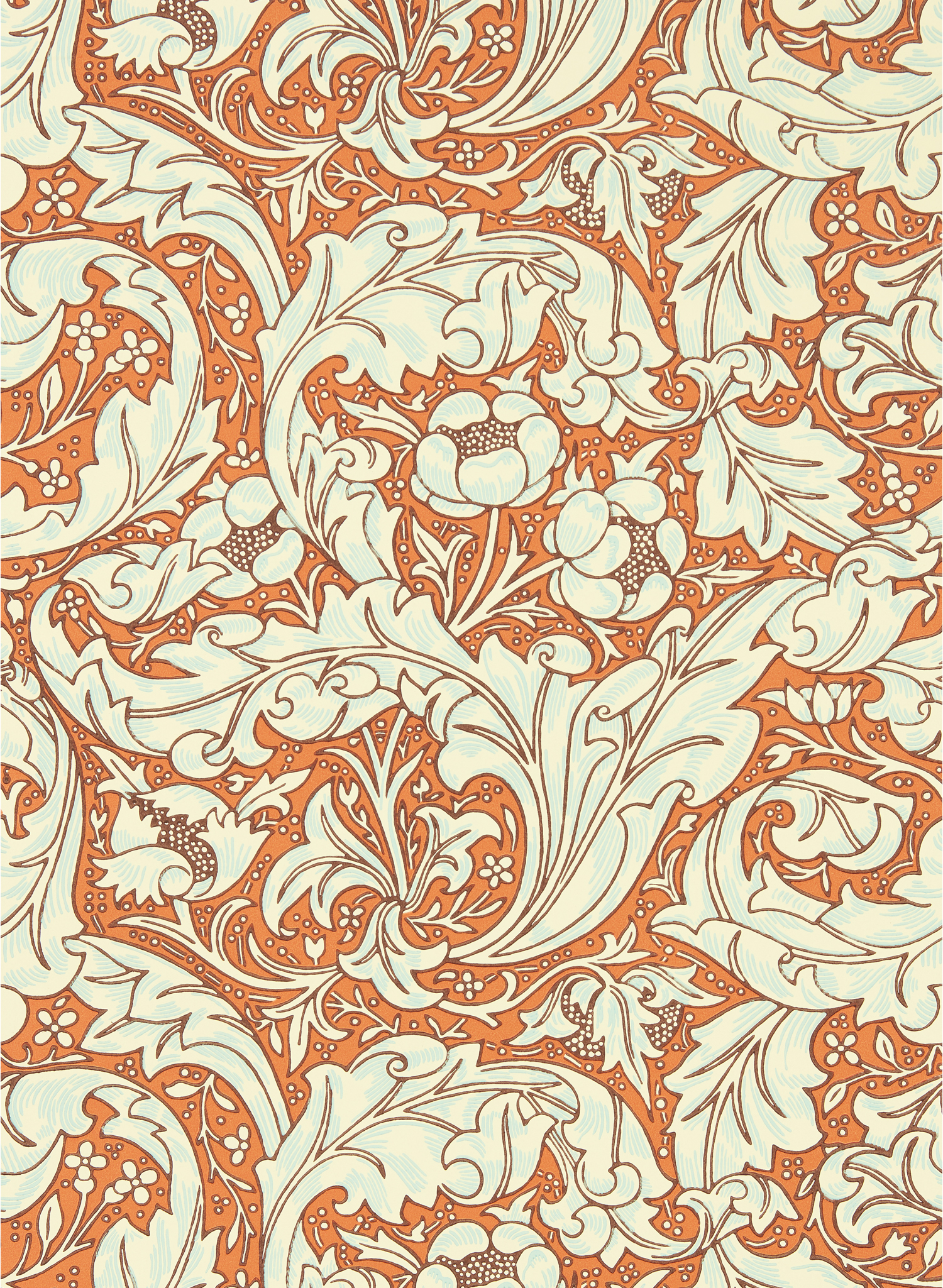 Tapete Bachelors Button - Burnt Orange/ Sky