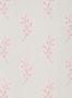 7060_3_Paint_Paper_Lib_Botany_Honesty_Salt_III_0360HOSALTZ-60609