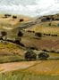 16557_02_Tres_Tintas_Quijote_M5203-2-178876