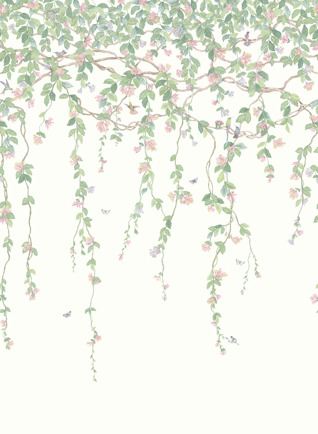 Tapete Hummingbirds Flora - Blush Sage/  Mulberry on Cream