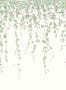 14738_1_Cole_and_Son_Hummingbirds_Flora_124_2008-118379