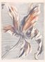 4390_1_eijffinger_tulip_teyler_358116-32806