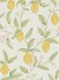 5280_2_morris_lemon-tree_216672-55296