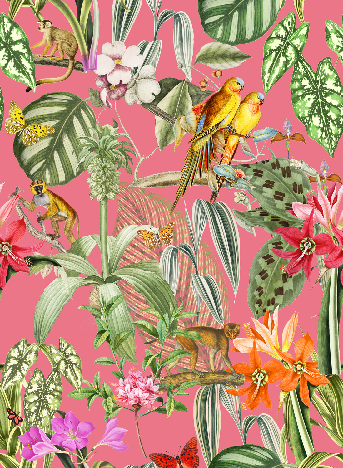 Tapete Parrots - Rosa