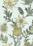 4069_3_cole-and-son_thistle_115-14042-31738